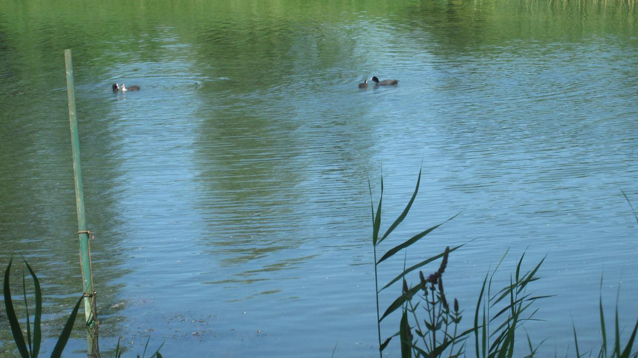 Gaestehaus Zur Linde Otterndorf Luaran gambar